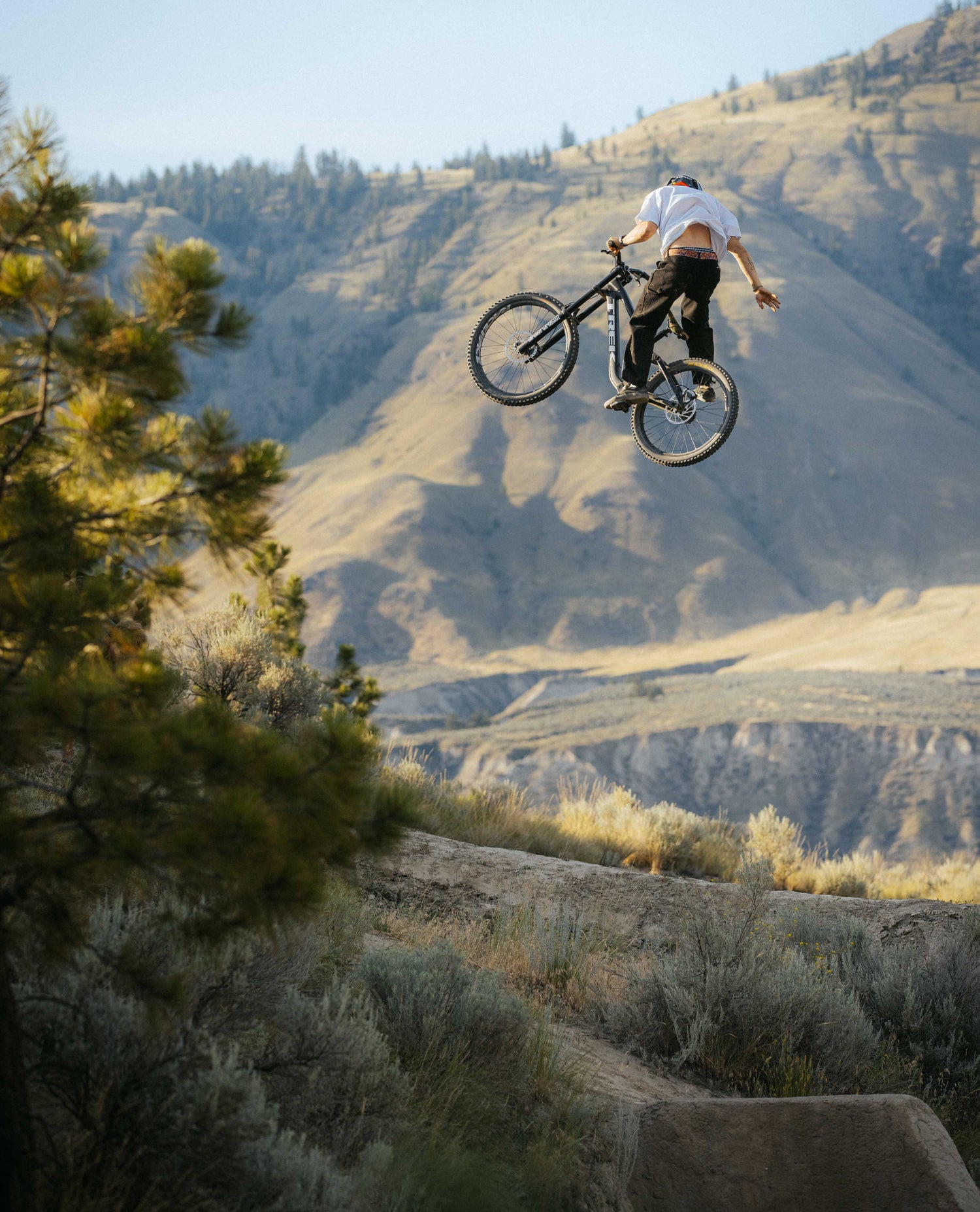 Person on a mountain bike performing a jump with a scenic background of mountains and trees.