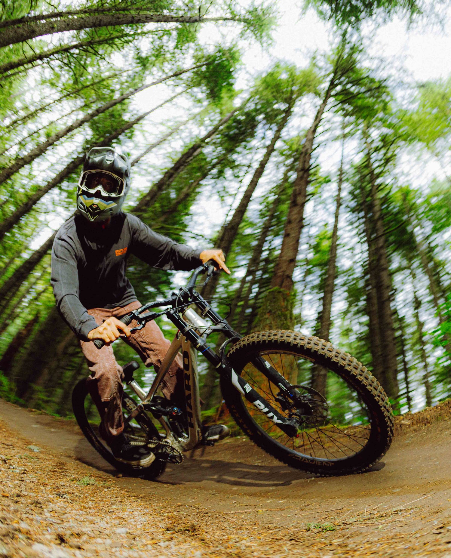 Person riding a mountain bike on a trail through a forest