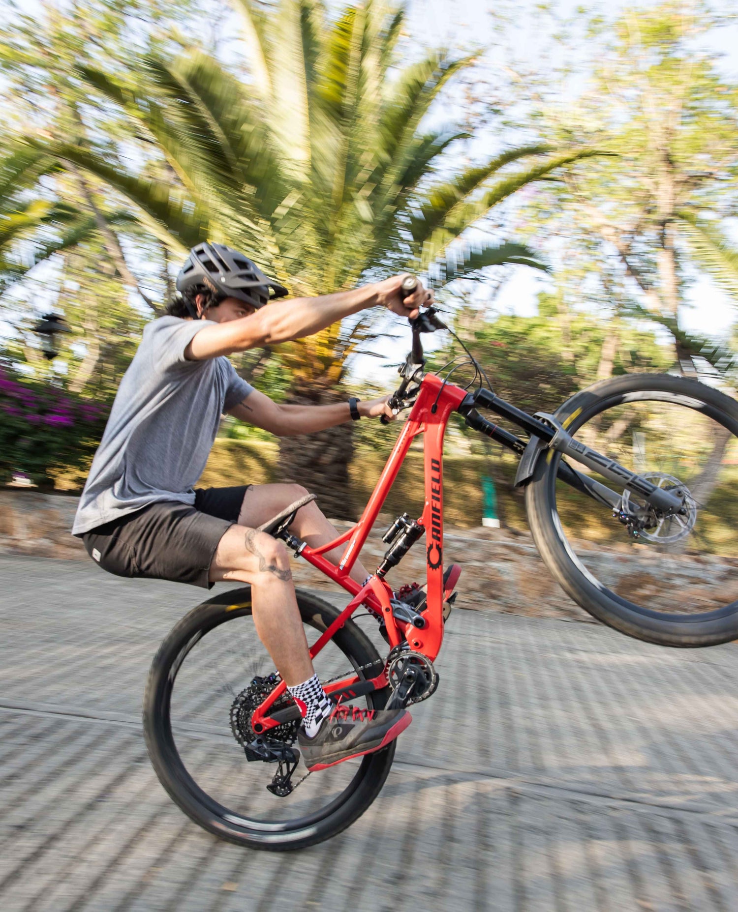 Person riding a red bicycle with blurred palm trees in the background