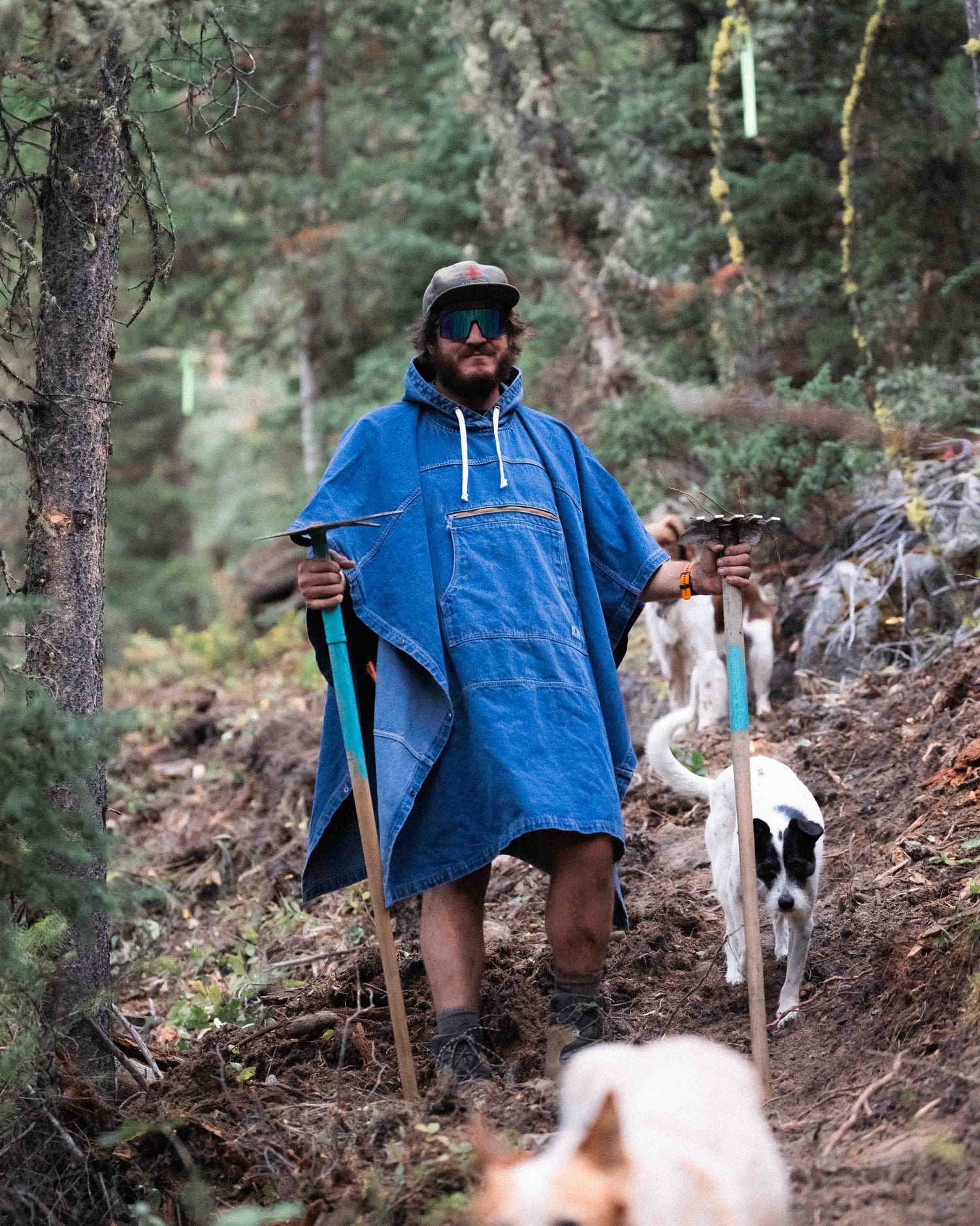 Person in a blue poncho walking in the woods with a dog.
