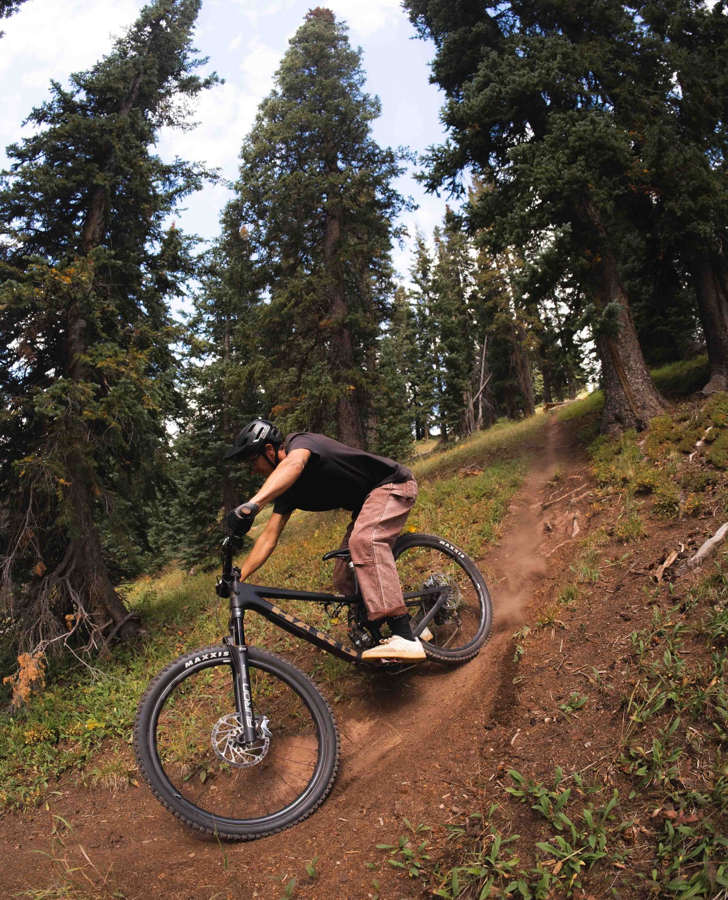 Person riding a mountain bike on a trail with trees in the background