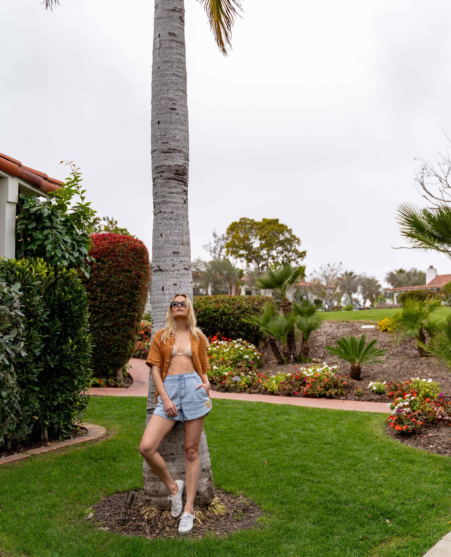 Court jorts and a palm tree
