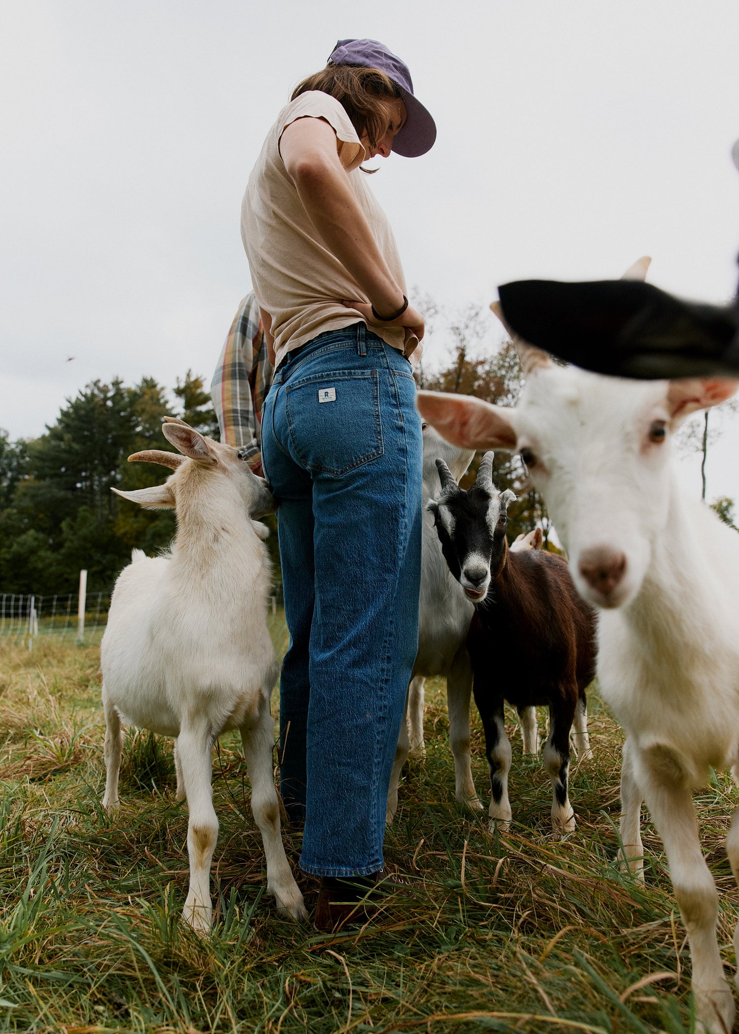 Woman standing in medium wash jeans, white shirt, and purple hat. She is surrounded by white goats and is in a grassy field