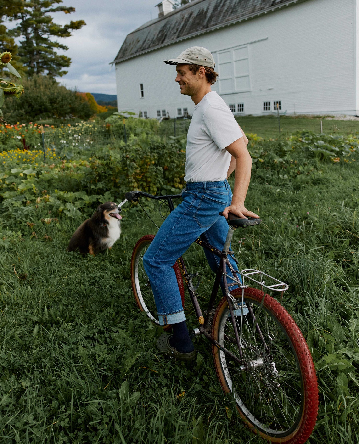 Man in jeans and a white shirt on a bike in a grassy field with a dog. 