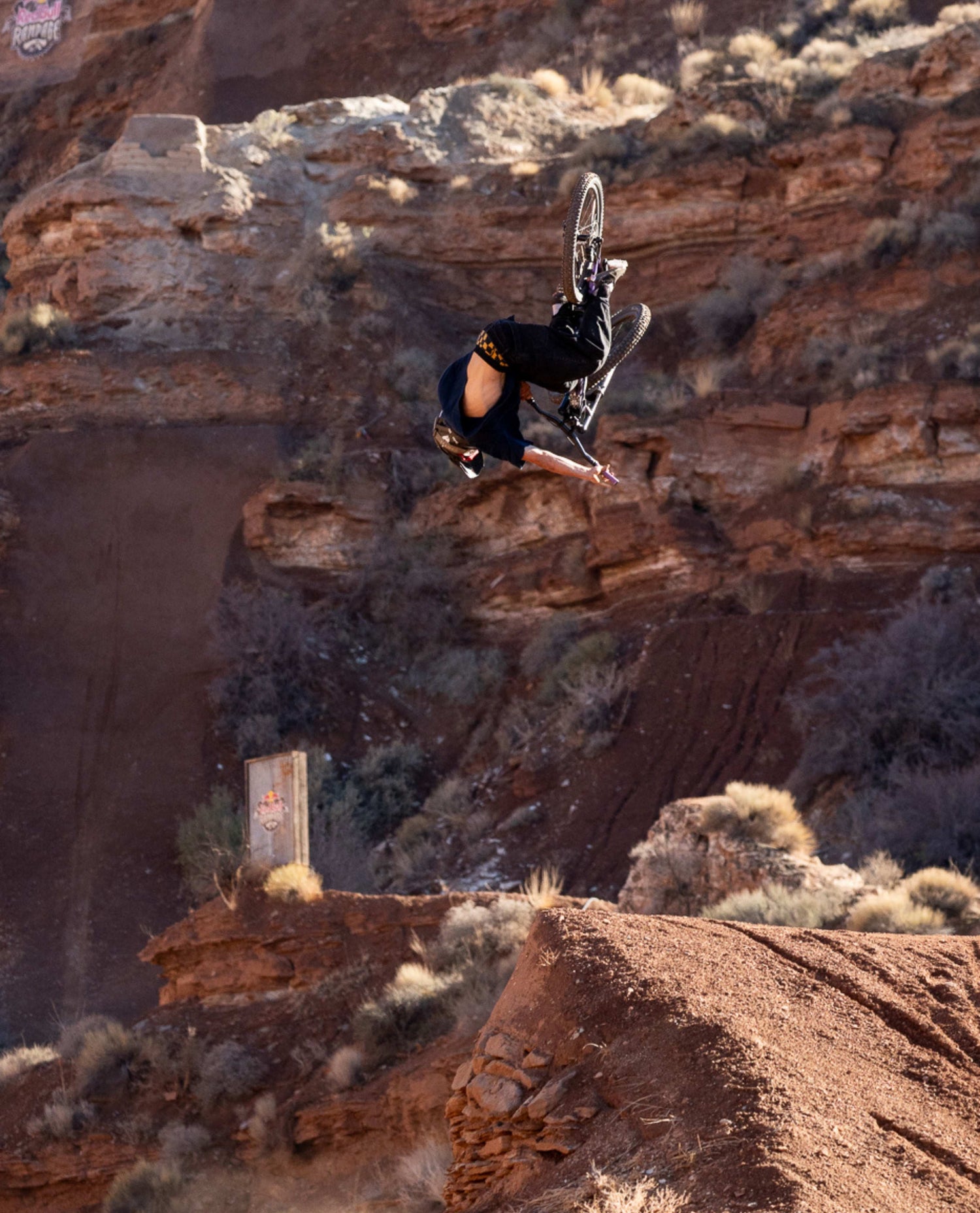 Person on a bicycle performing a stunt in a desert canyon