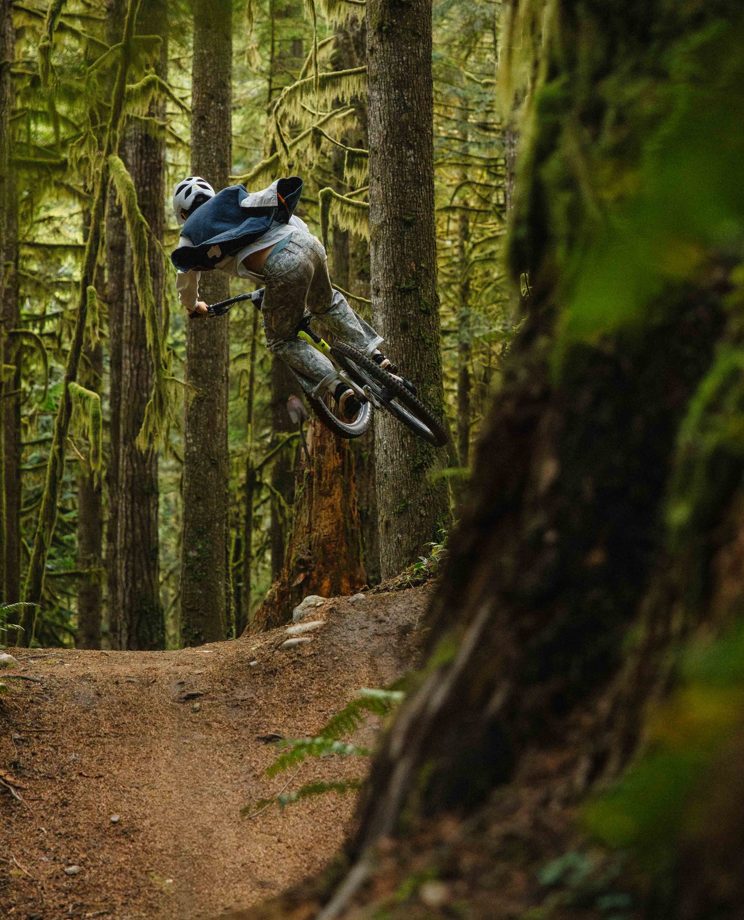 Person riding a bike through a forest