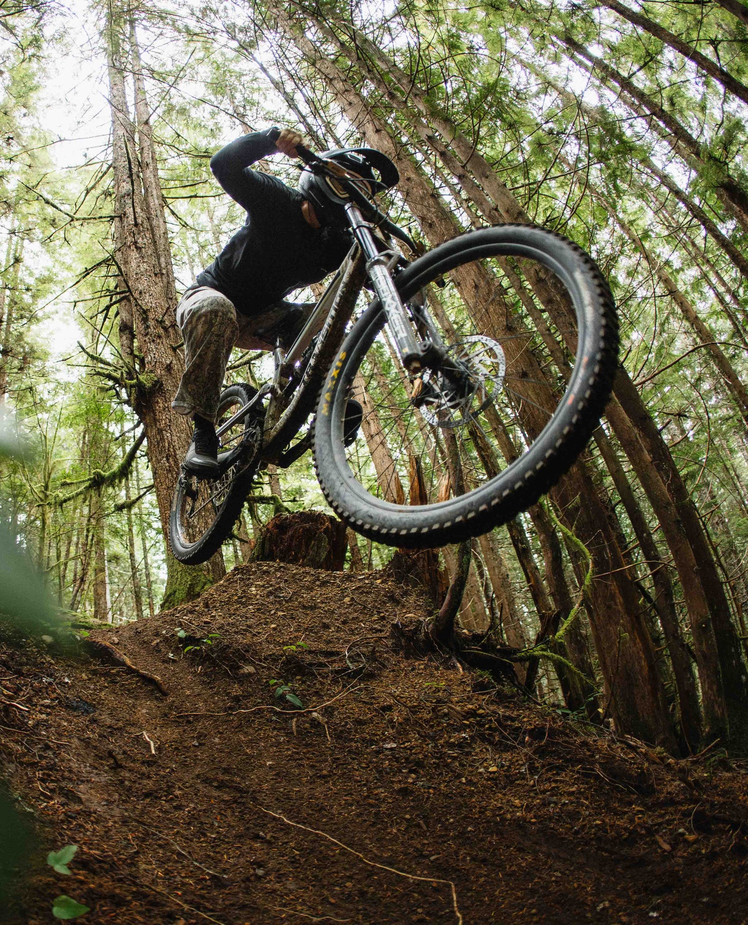 Person riding a mountain bike on a trail in a forest