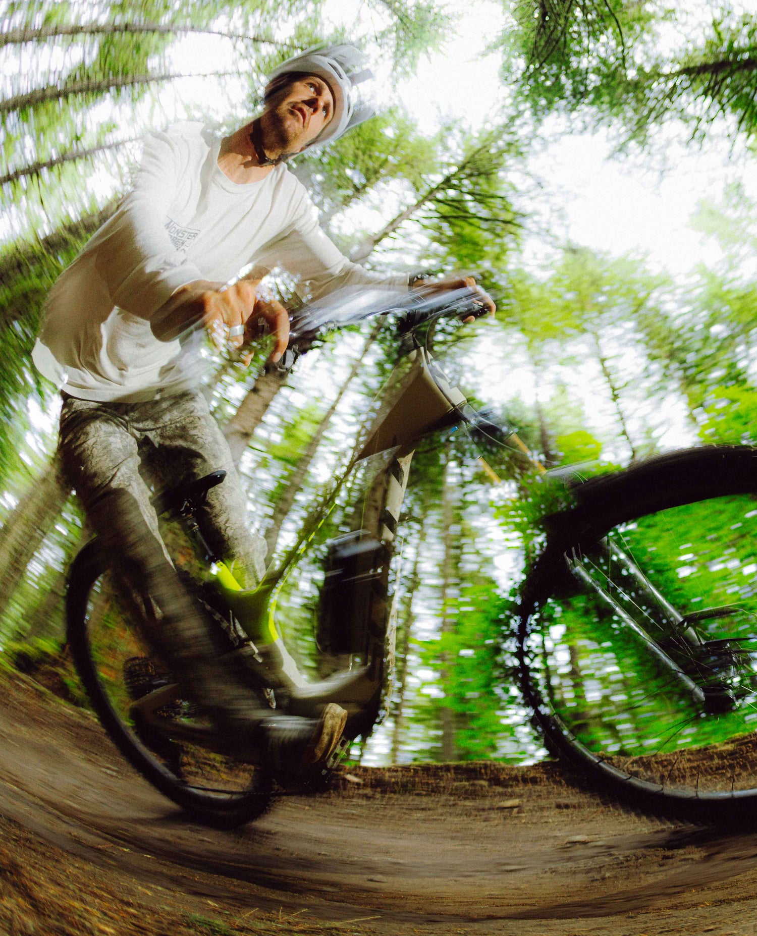 Person riding a bicycle on a forest trail with greenery and trees in the background