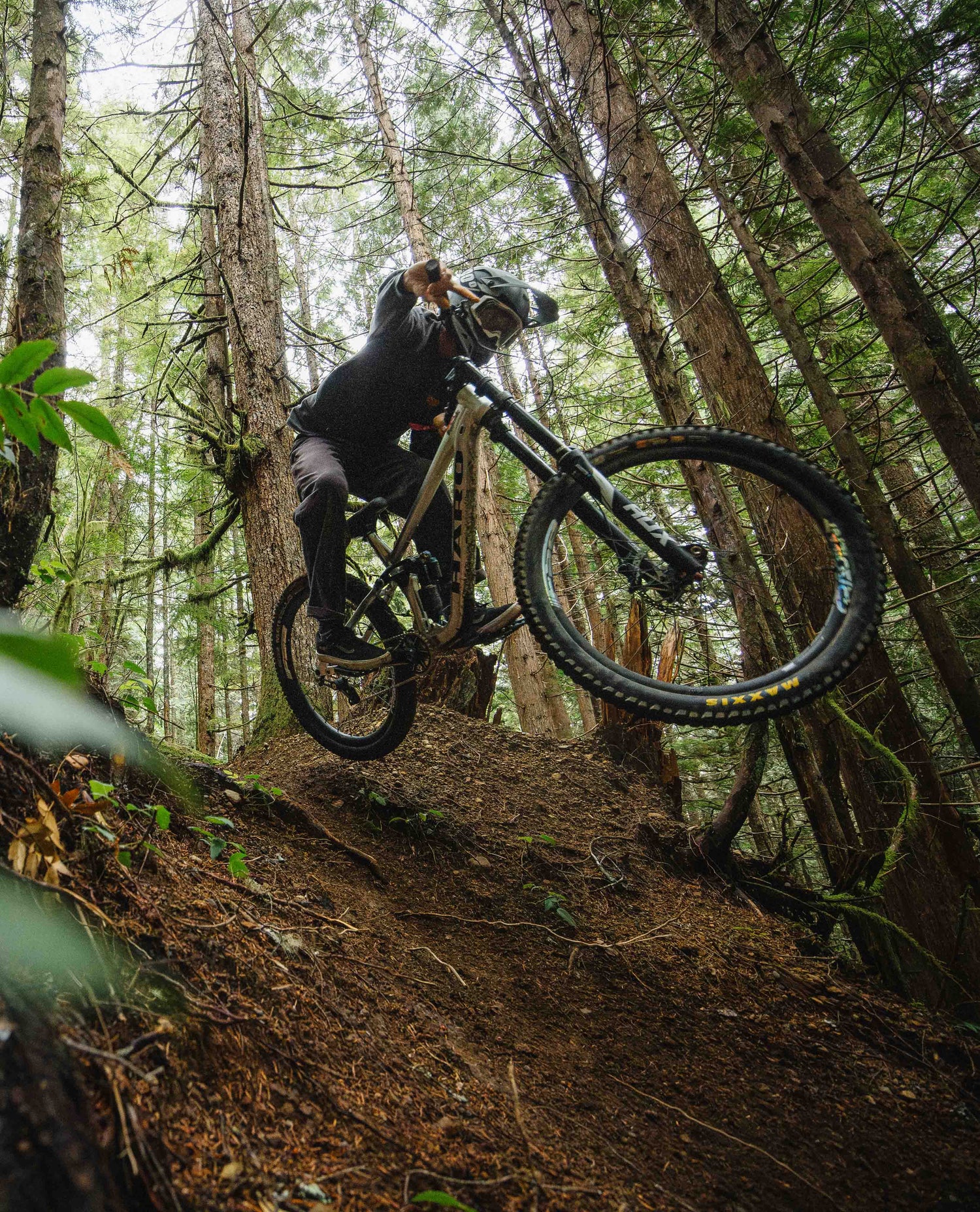 Person riding a mountain bike through a forest