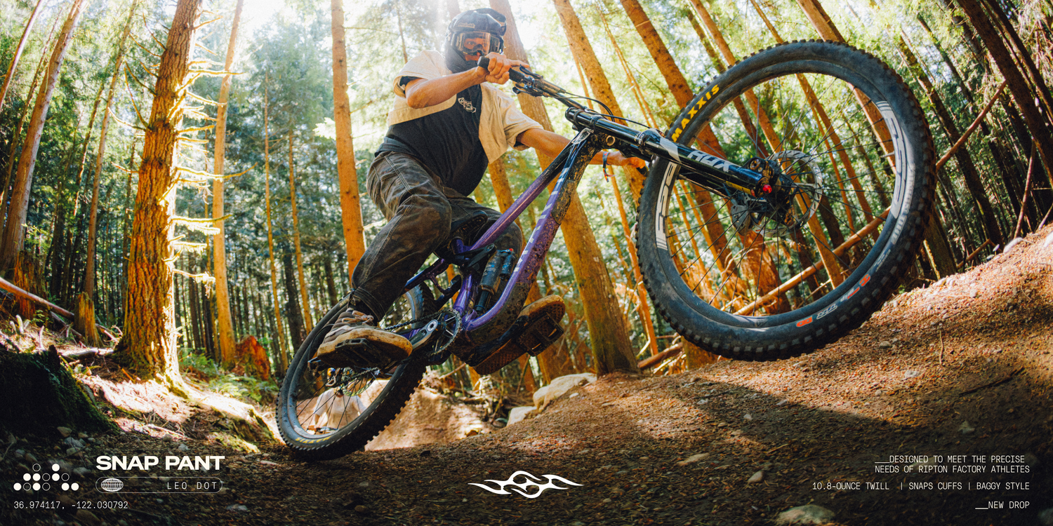 A mountain biker rides a purple full-suspension bike through a dense forest with tall trees and sunlight filtering through the canopy. The bike frame is purple, and the background is a natural woodland setting.