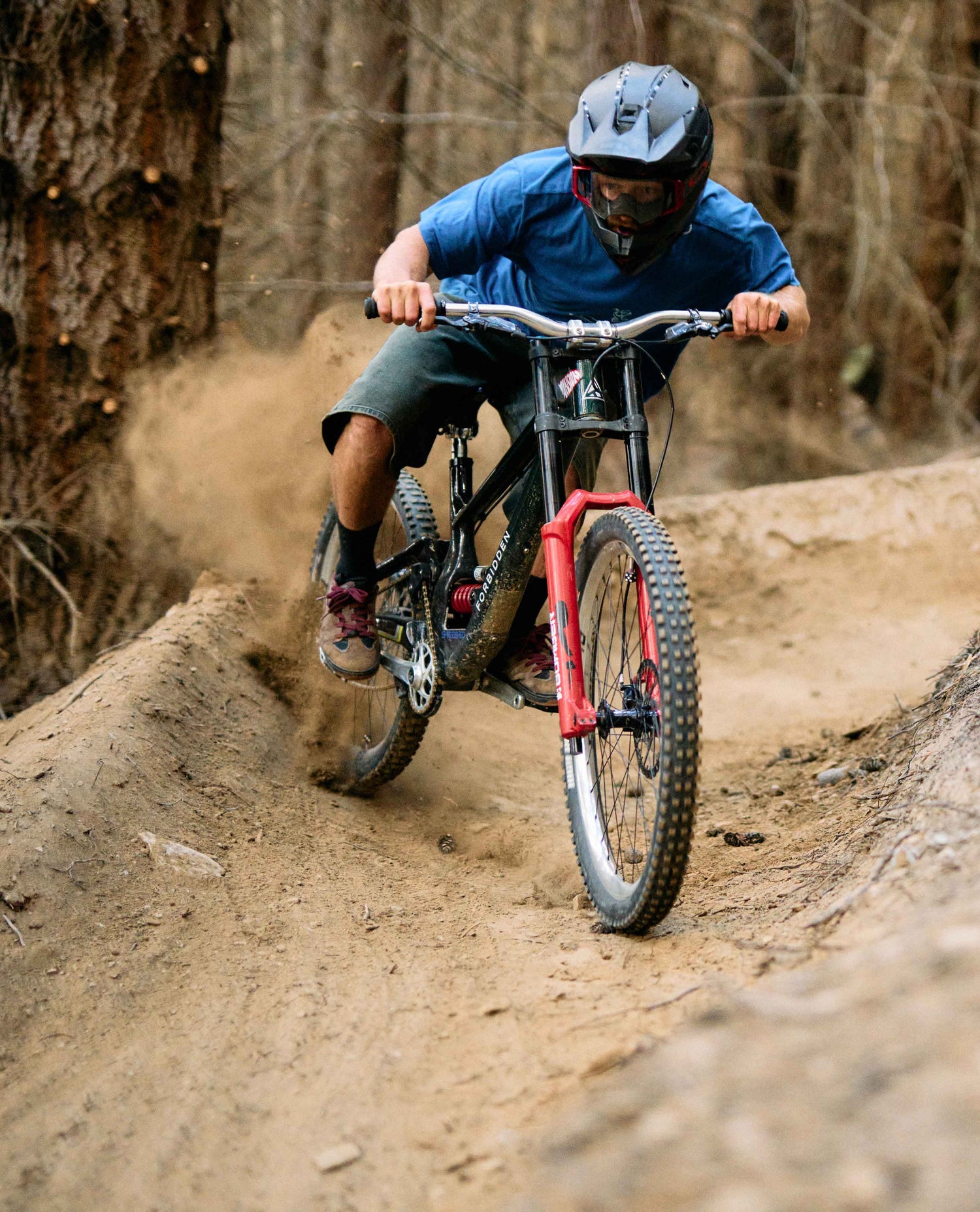 Person riding a mountain bike on a dirt trail in a forest